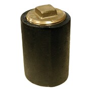 JONES STEPHENS 6 in. Plain End Cleanout Long Pattern with 5 in. Raised Head HEX Heavy Pattern Plug - 4 in. Height C38206